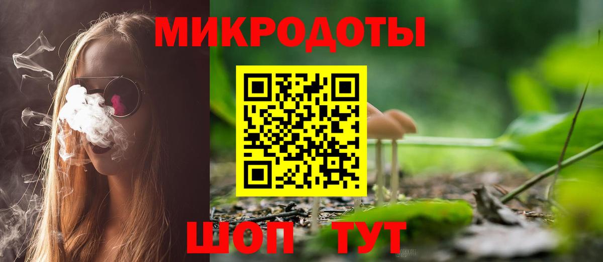 Псилоцибиновые грибы Cubensis Заволжье