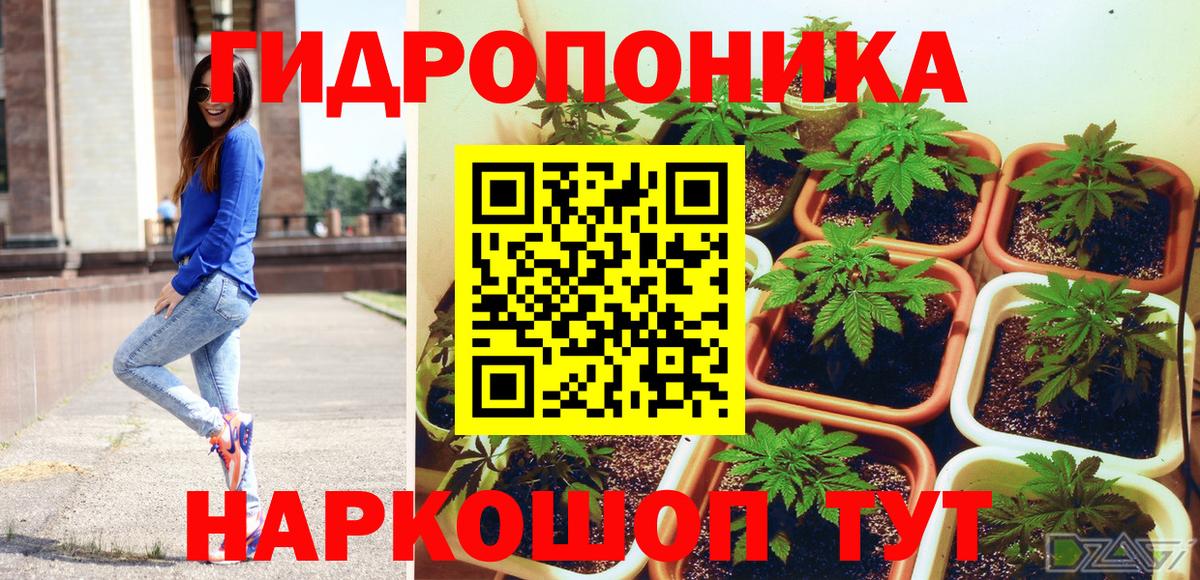 Заволжье  Бошки марихуана THC 21%  Бошки марихуана OG Kush  Вход с VPN 